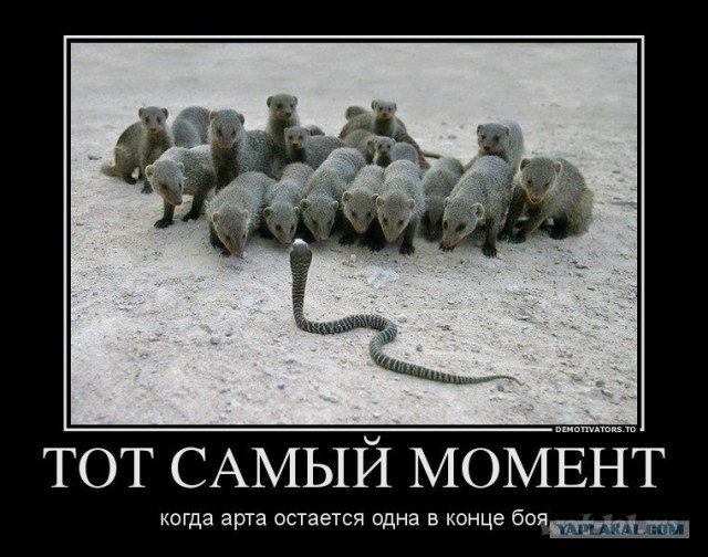 Wargaming 2