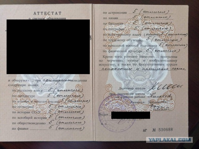 Где они? Что с ними?