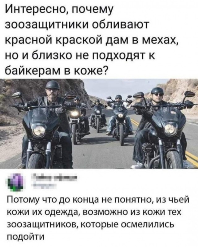 Юмор в картинках и без 21.02.2023