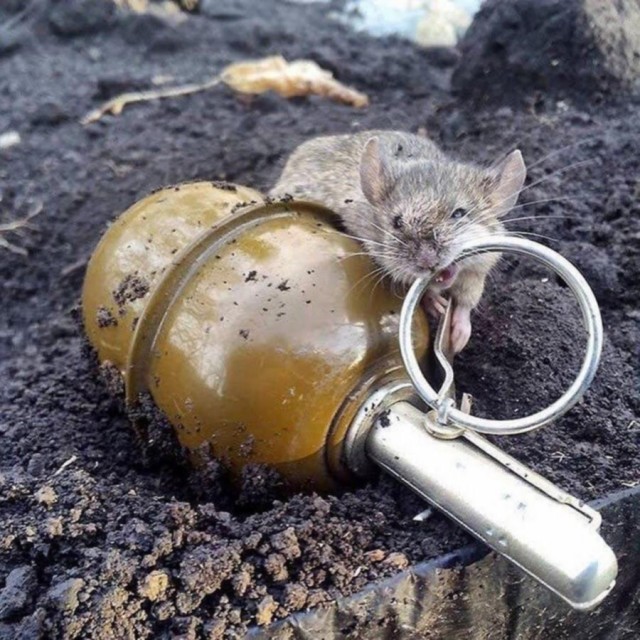 Ибо нефиг мои яйца тырить!