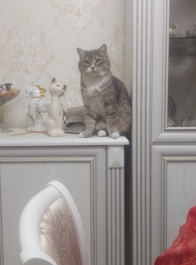 Дождалась