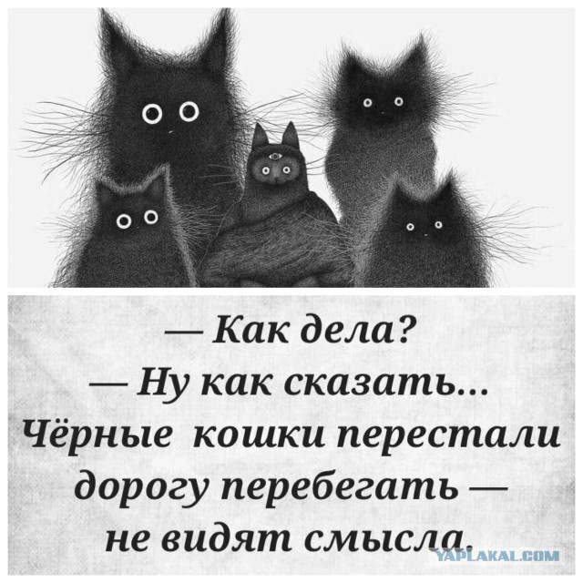 Бабские хотелки и манипуляции