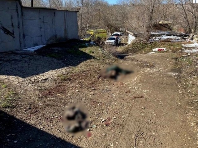 Бездомные собаки насмерть загрызли ребёнка в Оренбурге.