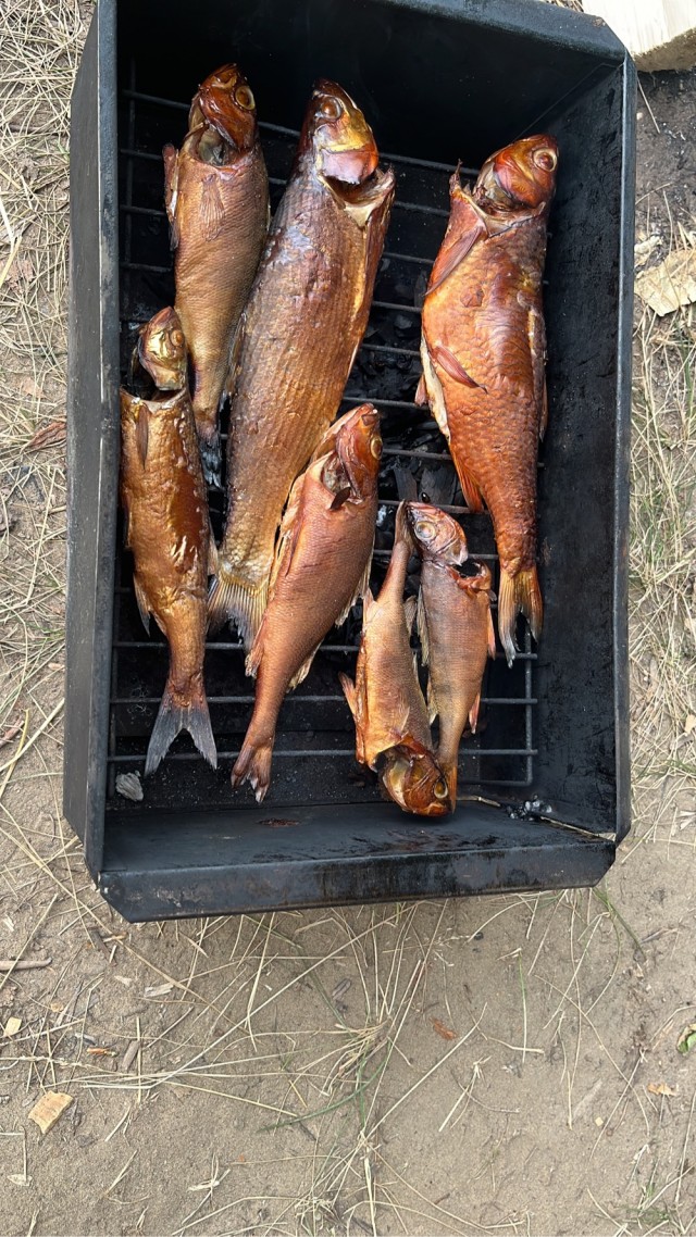 Рыбалка на Мологе