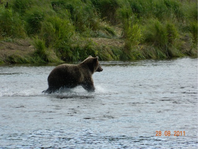 Осенняя рыбалка