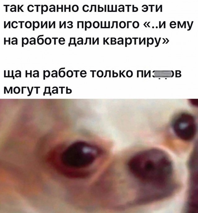 Нуштош 29.12.2023