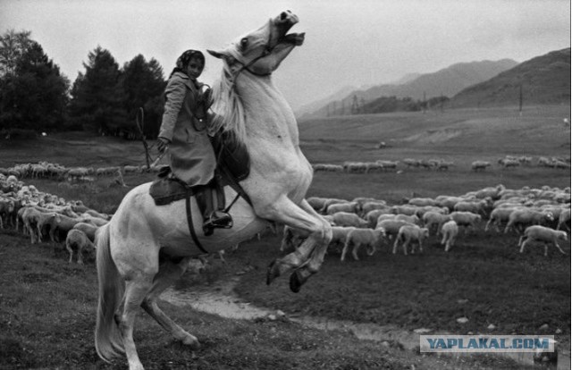 Фотографии из прошлого нашей страны - 46