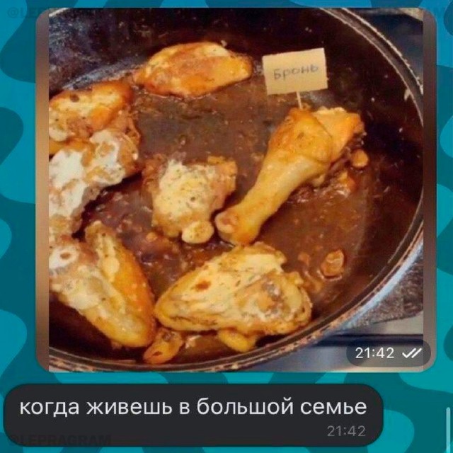 Весёлый полтишок 11.01.23