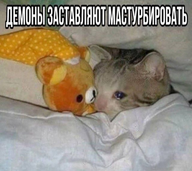 Всего понемногу. От 23.02.24