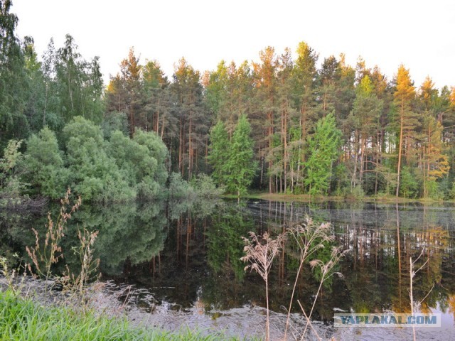 Утро