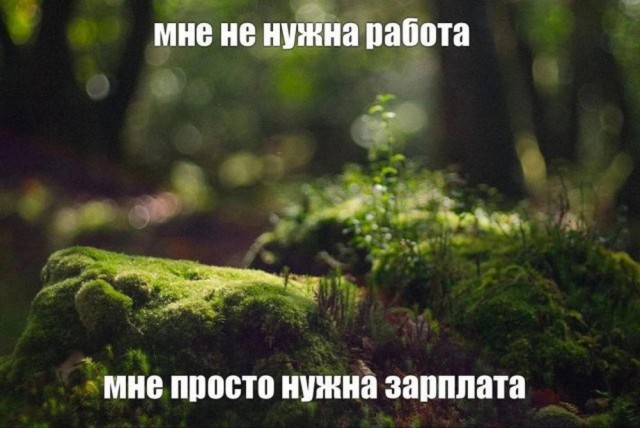 Пятничное улыбательное