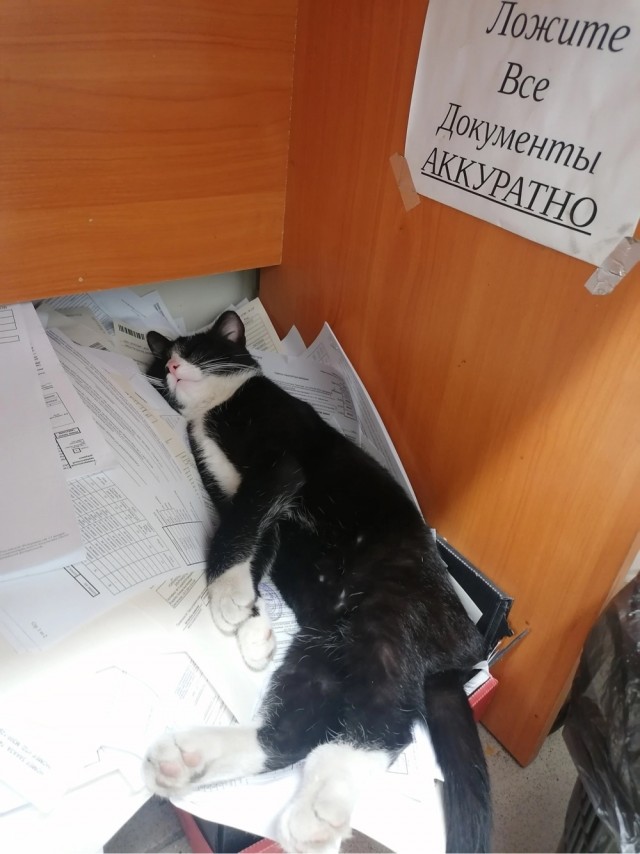 Юмор в картинках и без