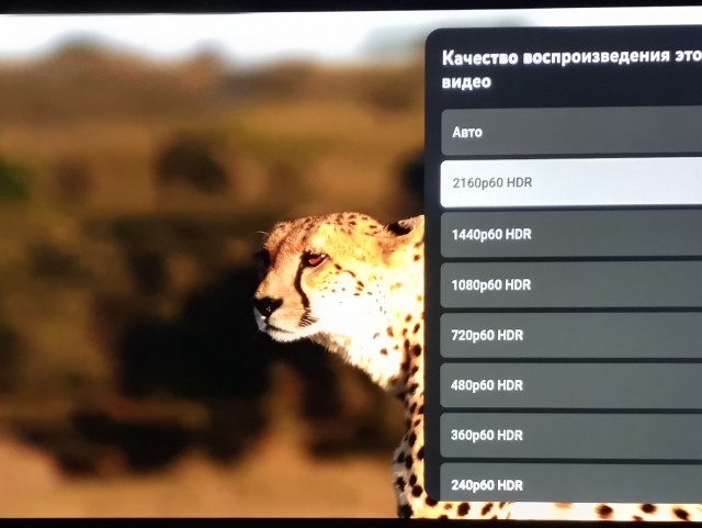 ТАСС. YouTube перестал воспроизводить видео в высоком разрешении почти во всех браузера в РФ