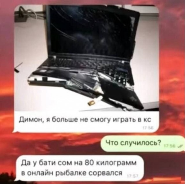 Так себе картинки 23.09.24