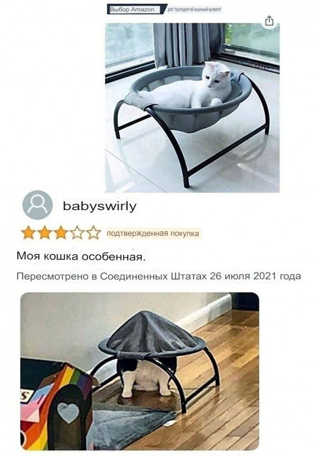 Веселые картинки к пятнице