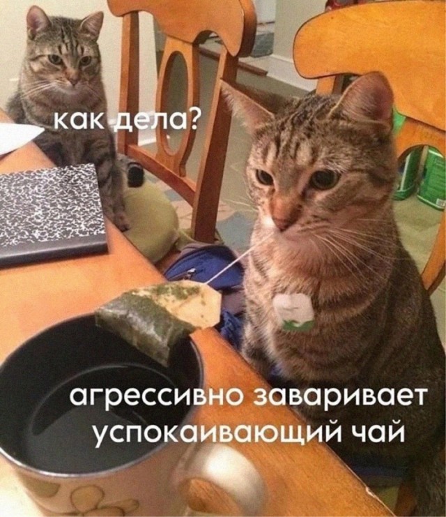 Завалялось тут случайно немного забавных картинок