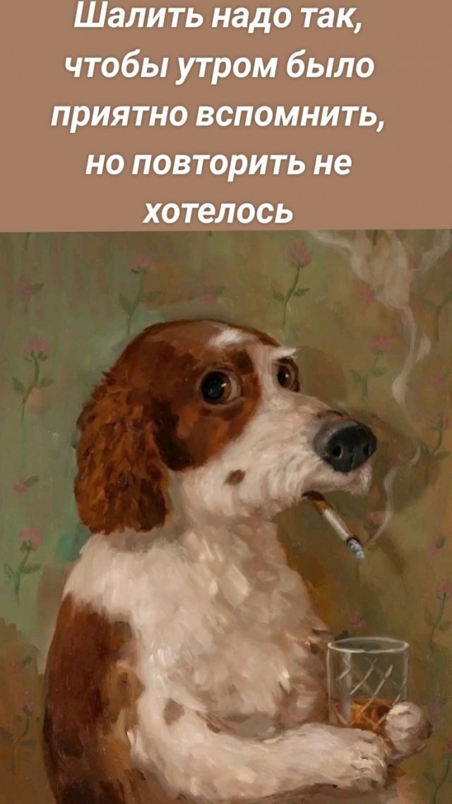 Прикольные и просто красивые картинки 04.12.2024