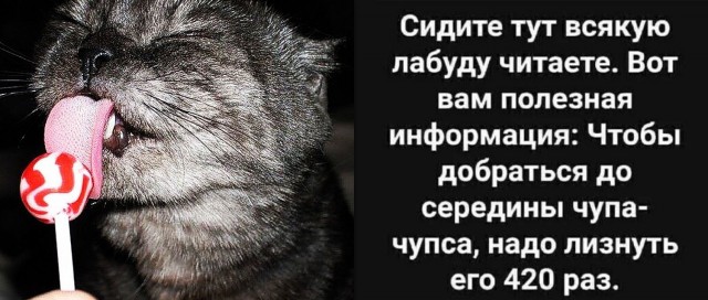 Завалялось тут случайно немного забавных картинок