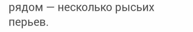 Медведь приносит подарки леснику: каждый год — как по расписанию