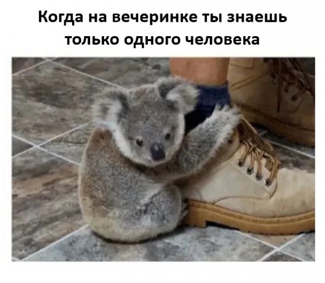 Так себе картинки 29.07.25