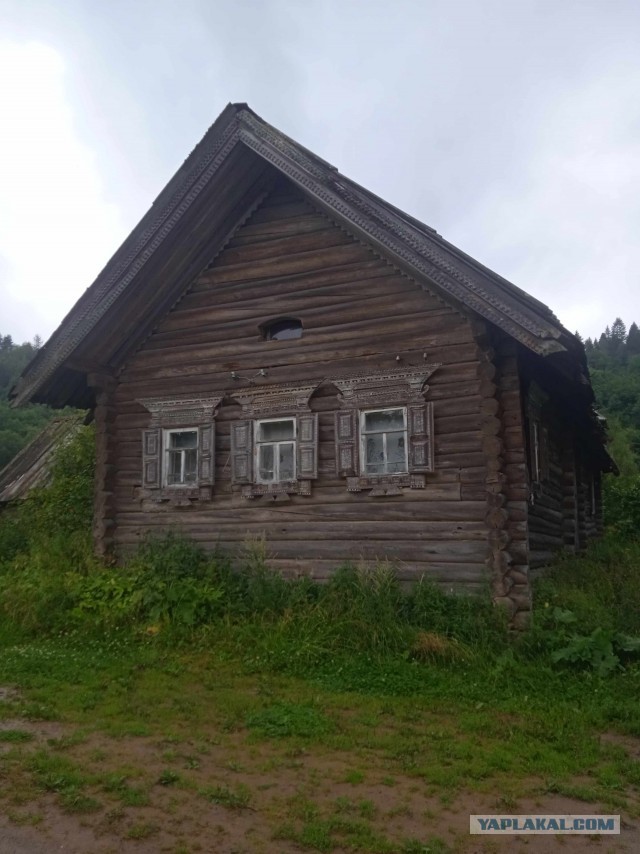 На квадроциклах по Вепсскому лесу