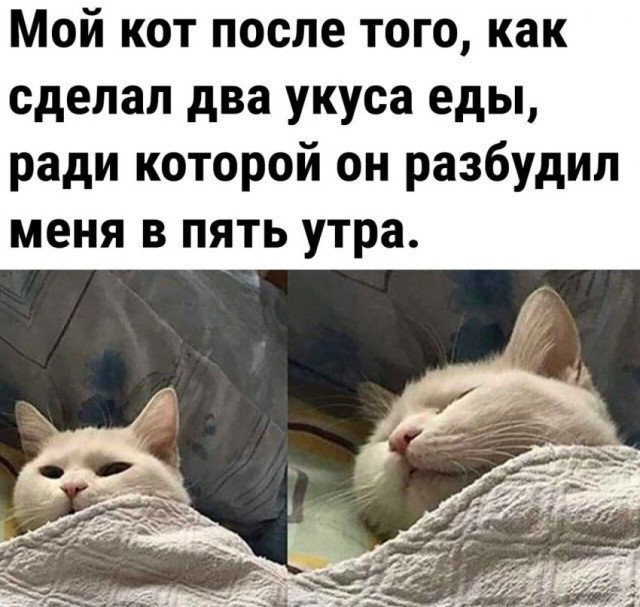 Картинки и мемки