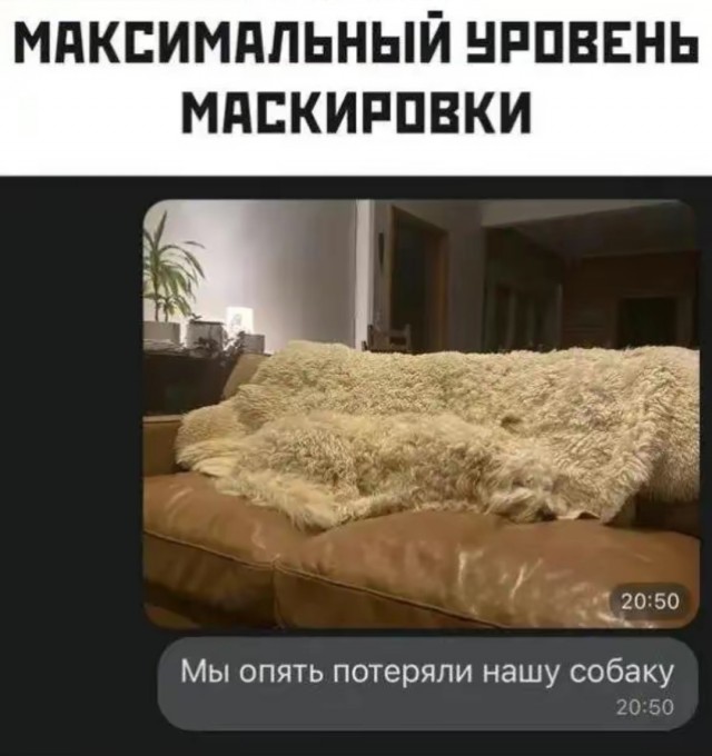 Так себе картинки 15.10.25