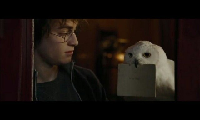 Сова едет на корпоратив