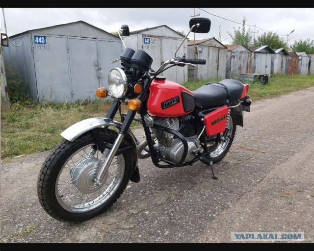 Смотрите какого красавца за 500 $ продают