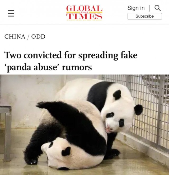 В Китае посадить в тюрьму могут за фейки о пандах