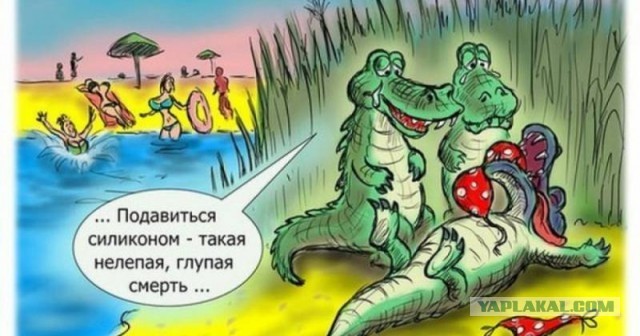 Барсик. Поел? Иди нахрен спать