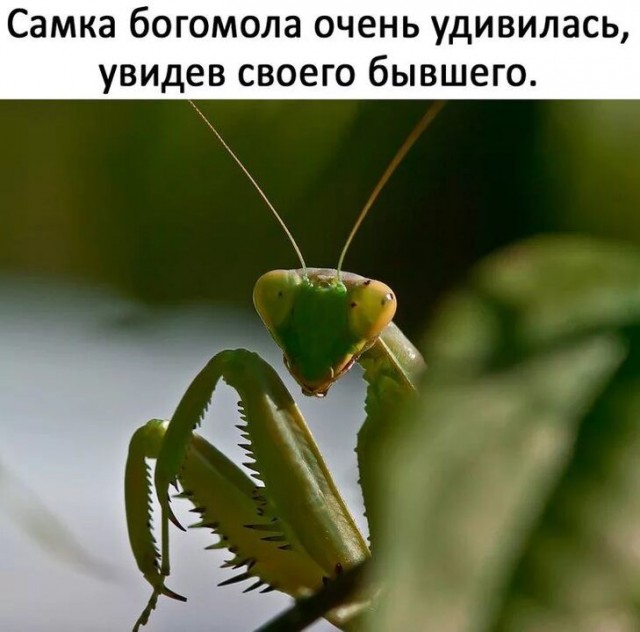 Картинки про отношения М и Ж