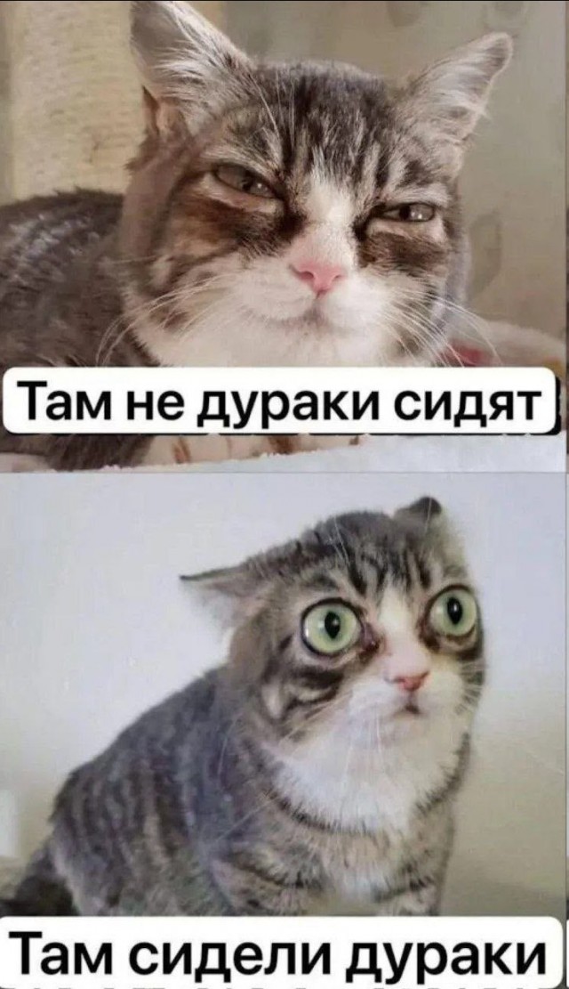 Всё ещё сидят.