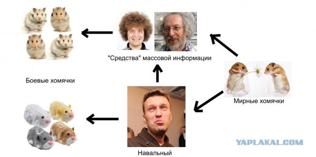Демократия в россии