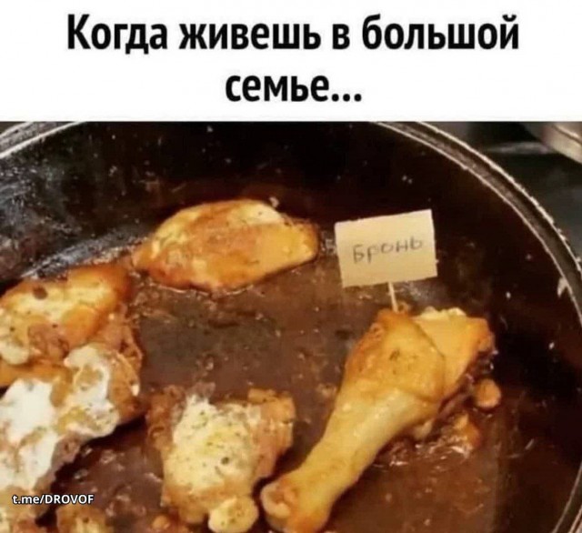 Веселые картинки в маленькую пятницу (08.07)