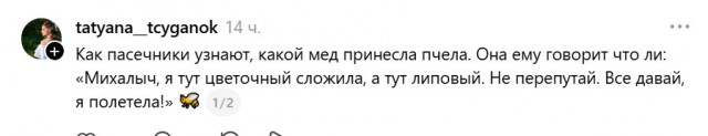 Так себе картинки 16.07.26