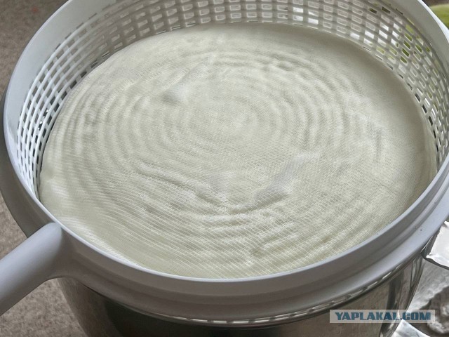 Адыгейский сыр (без сыворотки)
