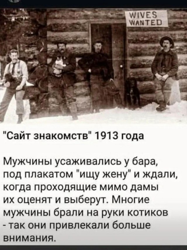 Картинки для деградации 300