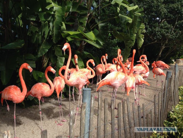 Поездка в Miami