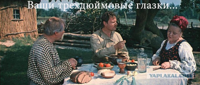 Любимая киноеда
