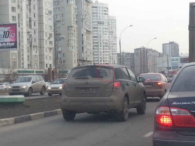 Решил выложить свои приколы