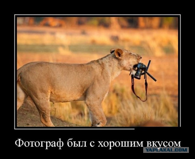 Подборка картинок