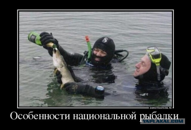 Подборка демотиваторов