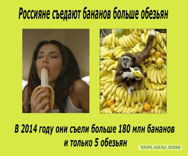 Картинки из сети