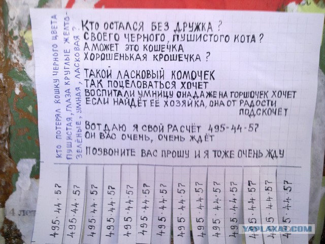 Типичный Челябинск