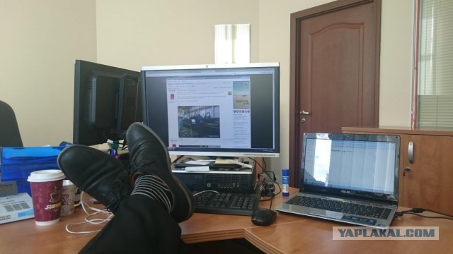 Приветы с рабочих мест ЯПовчан