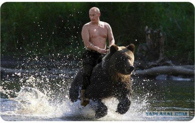Машины Владимира Путина