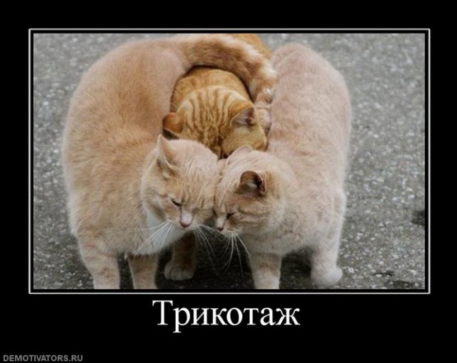 Обожаю игру слов