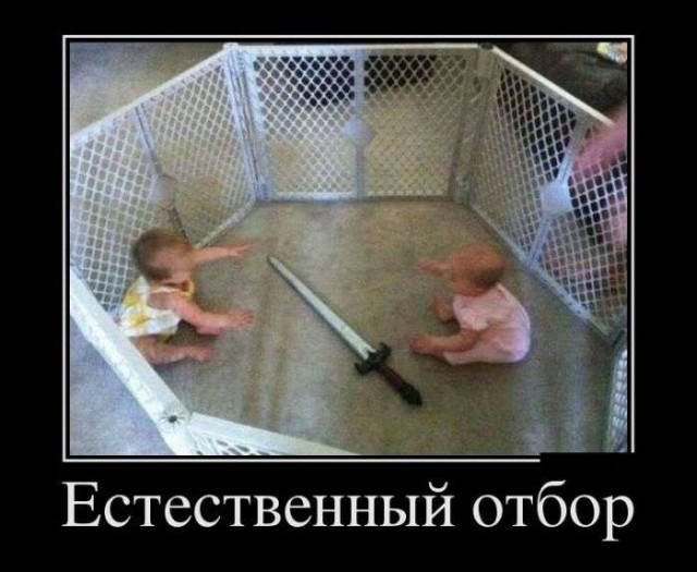 Подборка прикольных фото на пятницу