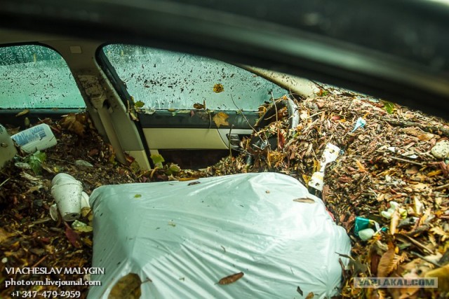 Ураган Сэнди. Конец Света начинается с США?